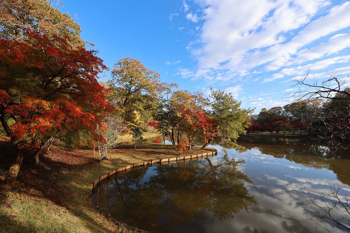 🏞️ 기타야마 시립 공원 (기타야마 시리츠 코엔) 이미지 11
